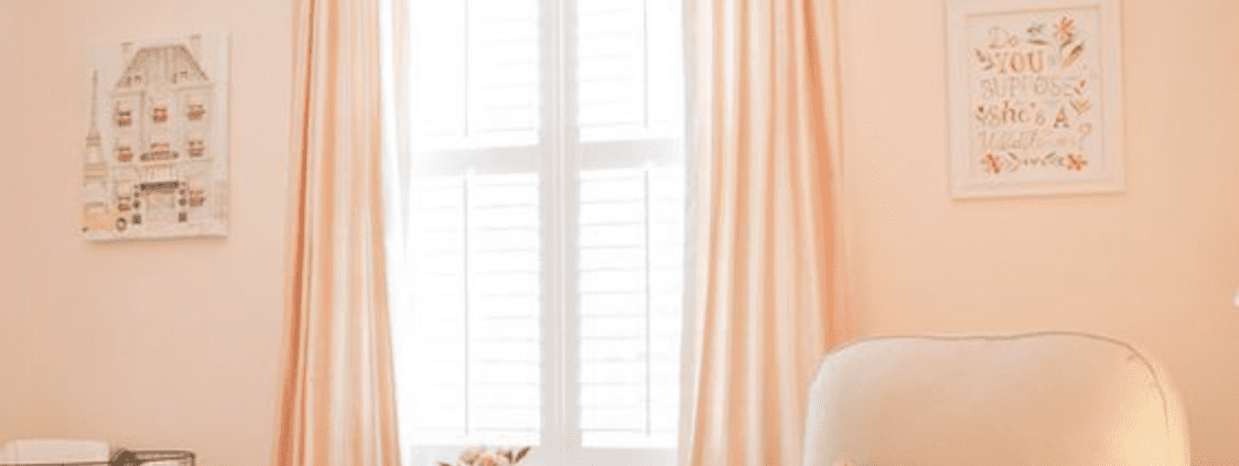 Peach & Apricot nursery