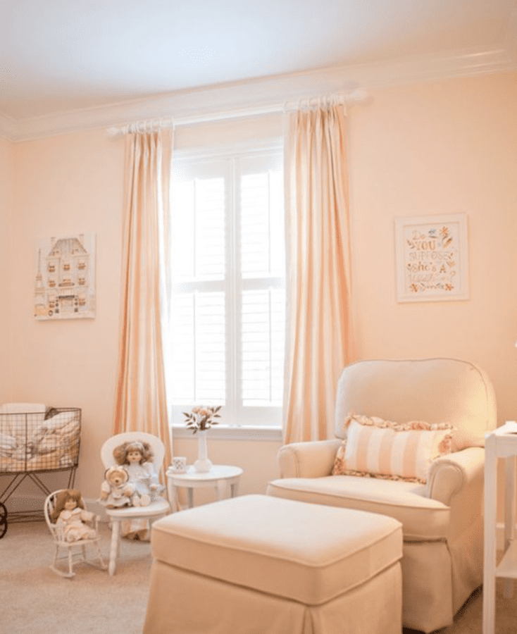 Peach & Apricot nursery